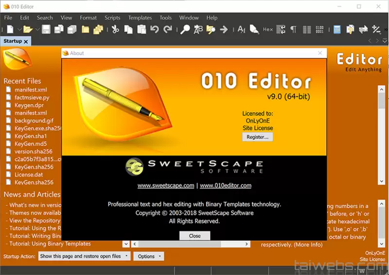 SweetScape 010 Editor - LouLx Game-LouLx Game